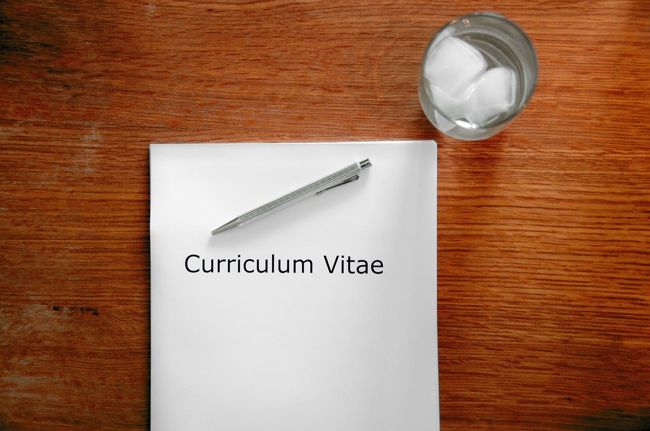 Best CV Templates and Examples for 2025: Land Your Dream Job